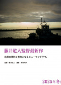港之光