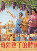 葡萄熟了的时候