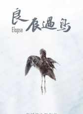 良辰過(guò)鳥(niǎo)