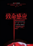 致命感应