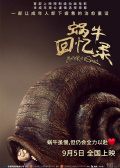 蜗牛回忆录