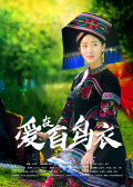 爱在百鸟衣