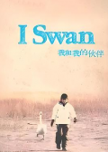 我和我的伙伴