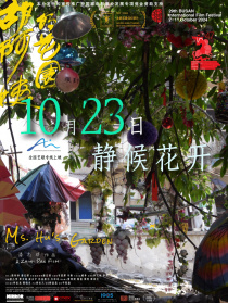 胡阿姨的花园