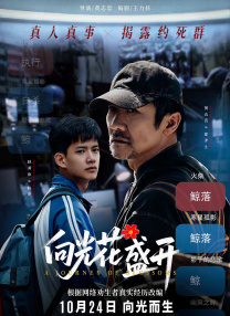 向光花盛開(kāi)