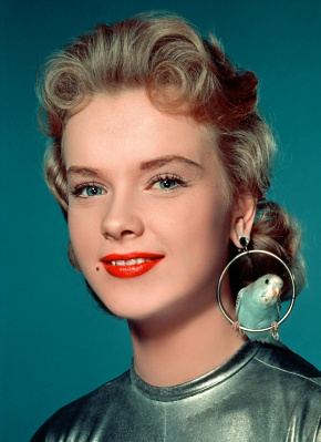 安妮·弗朗西斯