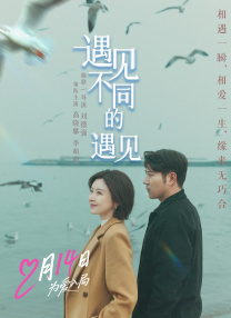 遇见不同的遇见