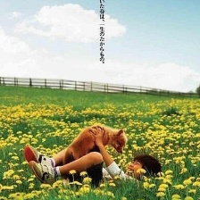 生命奇跡小狐貍