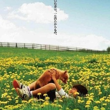 生命奇跡小狐貍