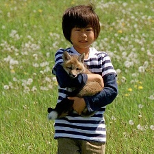 生命奇跡小狐貍