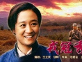 戎冠秀海报
