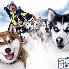 雪地狂奔