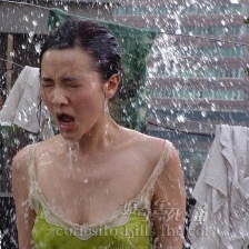 好奇害死貓