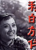 神秘的伴旅