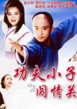 《功夫小子闯情关》海报