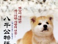 八公犬的故事海報(bào)