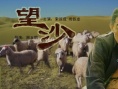 望沙海报