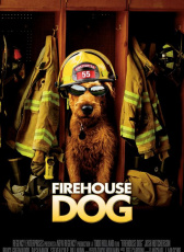 消防犬