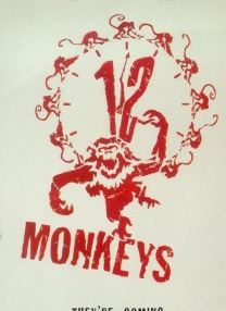 12只猴子