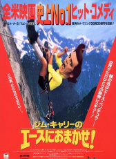 神探飛機(jī)頭Ⅱ