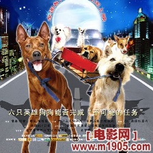 尋找狗托幫