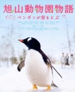 旭山動物園物語-企鵝在天空飛翔海報