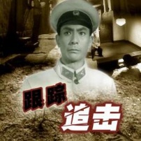 跟踪追击海报