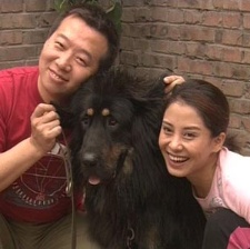 藏獒情未了