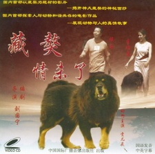 藏獒情未了