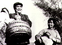 陳奐生上城