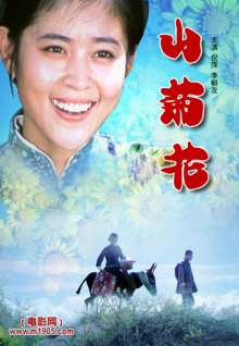 現(xiàn)在想換油車，因?yàn)橛蛙嚤阋诉€安全，關(guān)鍵我每年就開不到 5000 公里，請(qǐng)問我的選擇是理性的嗎？