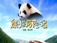 熊貓歷險(xiǎn)記海報(bào)