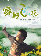 綠野飛花