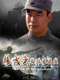 杨成武强攻东团堡