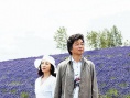 60岁的情书剧照