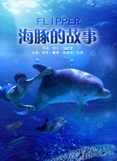 海豚的故事