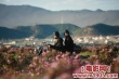 这儿是香格里拉剧照