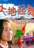 大地起舞