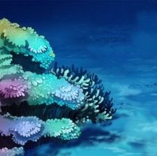 海底淘法