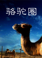 駱駝圈