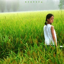 我們天上見