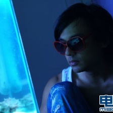 出水芙蓉