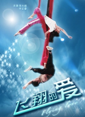 飞翔的爱