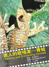 迷人的歌唱家—青蛙