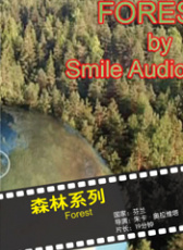 森林系列