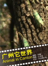 廣州它世界