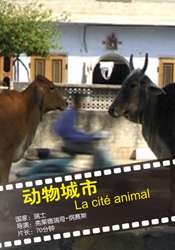 動物城市
