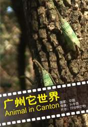 廣州它世界