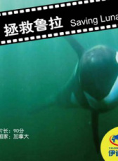 拯救魯拉
