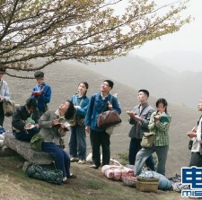 山楂树之恋